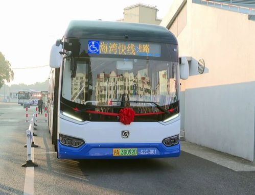 海湾快线 连接城市脉络的便捷动脉今日启航