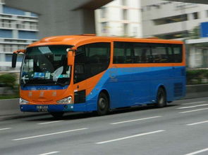 粤港跨境直通快线正式启动 通关再提速，跨境物流降费增效